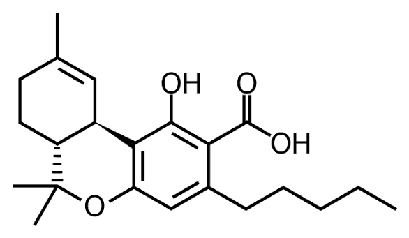 Is THCA real or synthetic? Natural THCA cannabinoid explained